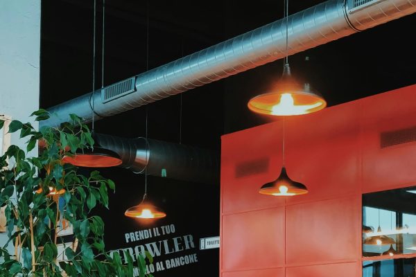 pexels-didsss-2969934